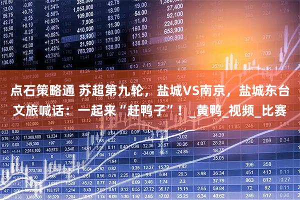 点石策略通 苏超第九轮，盐城VS南京，盐城东台文旅喊话：一起来“赶鸭子”！_黄鸭_视频_比赛