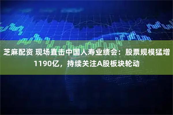 芝麻配资 现场直击中国人寿业绩会:股票规模猛增1190亿,持续关注A股板块轮动