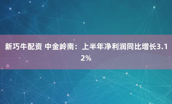 新巧牛配资 中金岭南：上半年净利润同比增长3.12%
