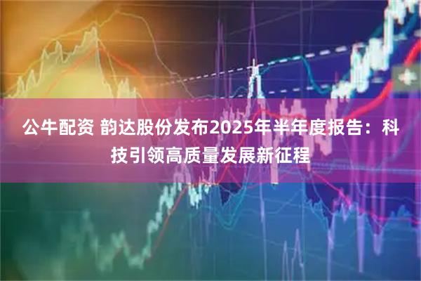 公牛配资 韵达股份发布2025年半年度报告：科技引领高质量发展新征程