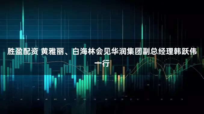 胜盈配资 黄雅丽、白海林会见华润集团副总经理韩跃伟一行
